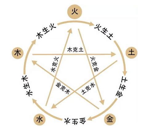 五行金多|简单学八字 